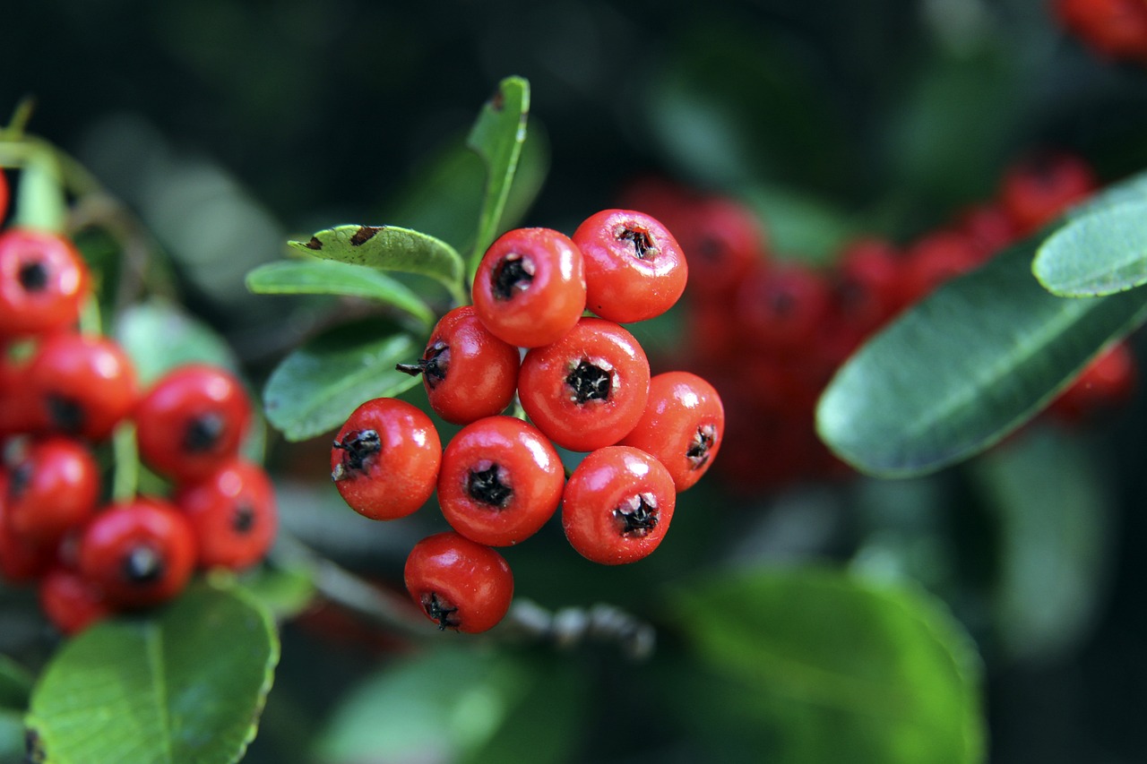 而馬克則在 而馬克則在