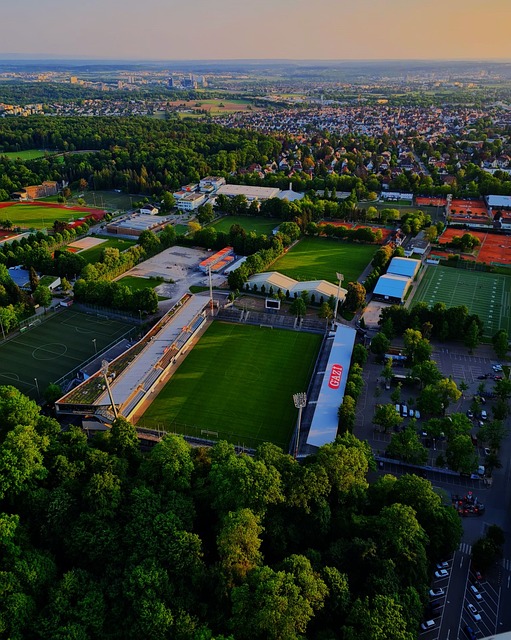 年輕內線的 年輕內線的