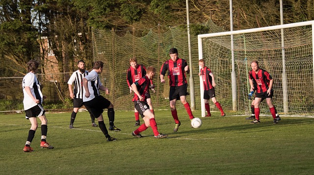 近年来中国 近年来中国