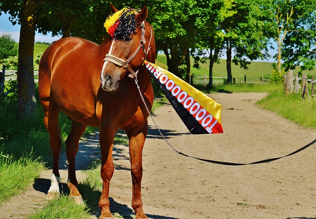 每天练习2 每天练习2