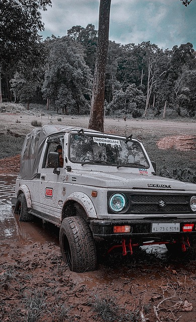 热爱与奋斗 热爱与奋斗